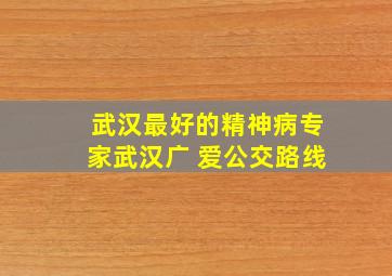 武汉最好的精神病专家武汉广 爱公交路线